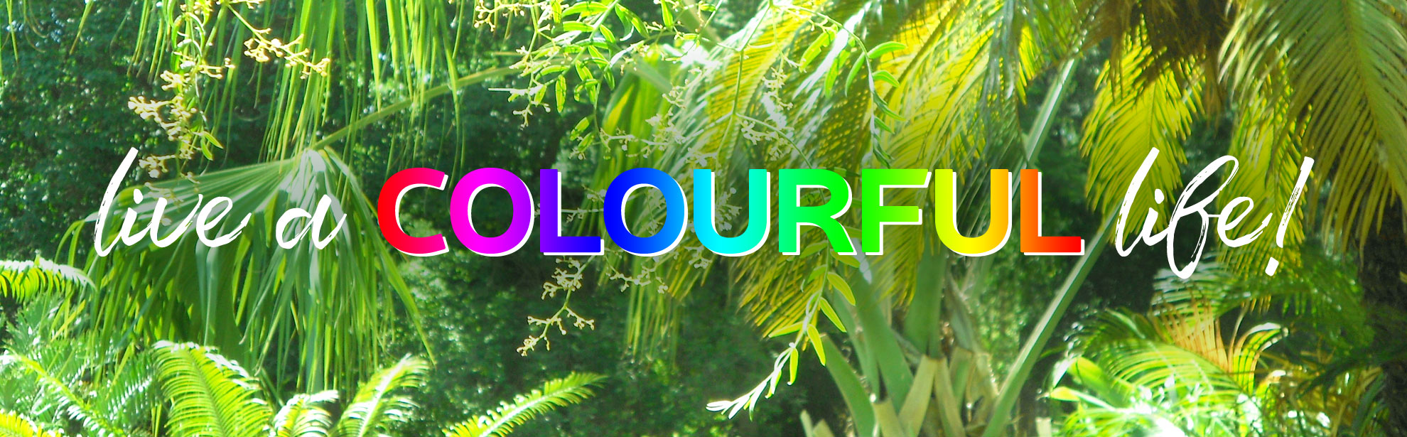 Live a colourful life!