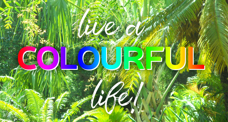 Live a colourful life!